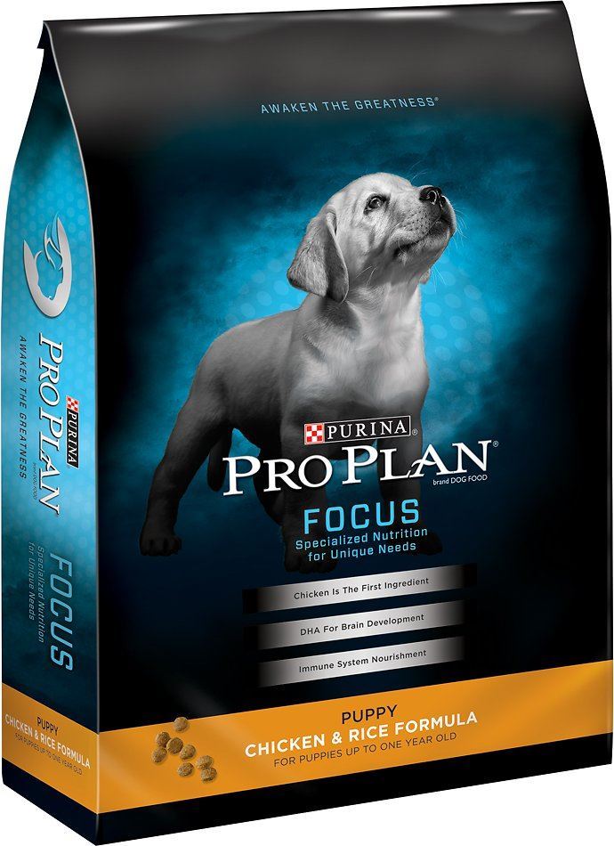 purina one focus dog food